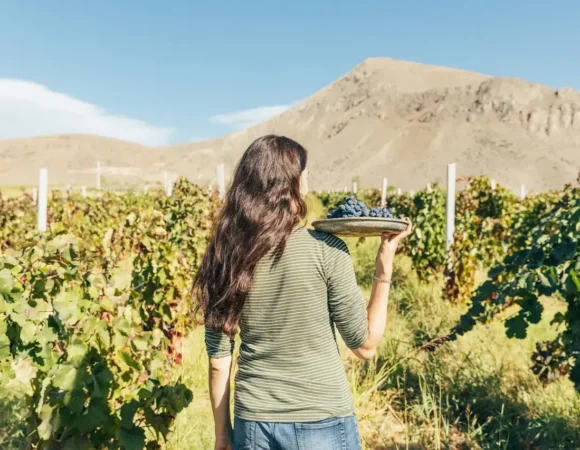 9 Grapes to Help You Understand Armenian Wine
